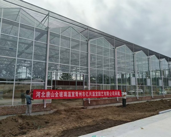 河北唐山全玻璃溫室案例